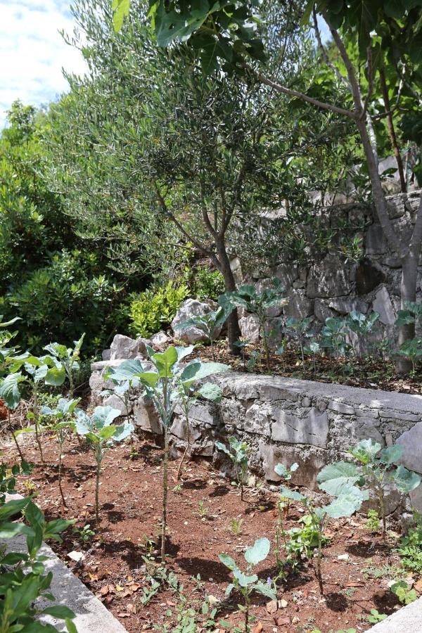 Apartments By The Sea Kabli, Peljesac - 10221 Brijesta Ngoại thất bức ảnh